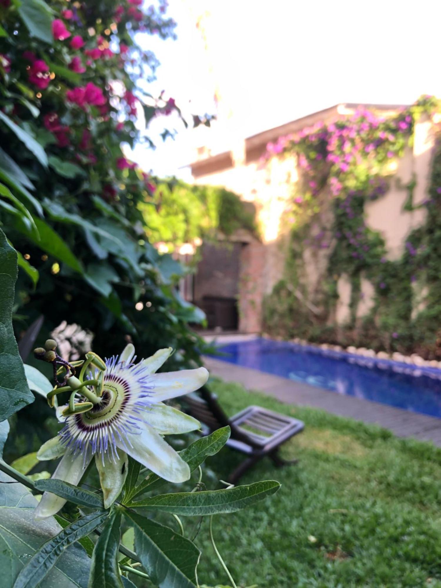 Bed and Breakfast Cool Clima à Olivos Extérieur photo